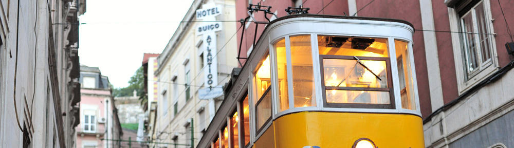 花のみやじまブログ